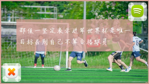 邵佳一坚定表示进军世界杯是唯一目标否则自己不算合格球员
